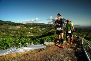 BIB: 
                            <button type="button" onclick="openModal(19122665)" class="btn btn-primary btn-sm float-right btn-popup" data-toggle="modal" data-target=".modal-high-quality">
                        <i class="fas fa-shopping-cart"></i> Add to Cart
                    </button>
                                            <button type="button" onclick="isThisMe(19122665, true)" class="btn btn-success btn-sm float-right btn-popup btn-isme hidden" data-toggle="tooltip" data-placement="bottom" title="นี่คือรูปของคุณใช่ไหม คลิกที่นี่เพื่อเอาเข้าอัลบั้ม">
                        <i class="fas fa-plus"></i> Add to album
                    </button>
                    <button type="button" onclick="isThisMe(19122665, false)" class="btn btn-warning btn-sm float-right btn-popup btn-isnotme hidden">
                        <i class="fas fa-ban"></i> Remove from album
                    </button>